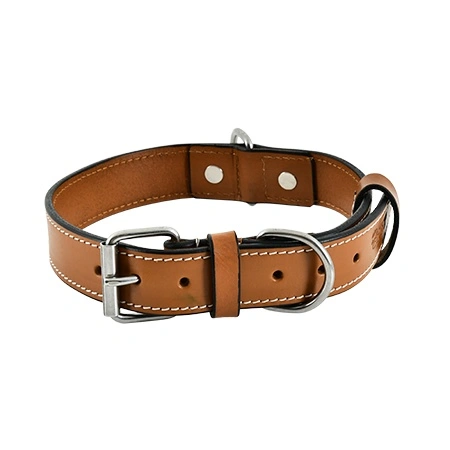 Pet Collar Product Photoshoot